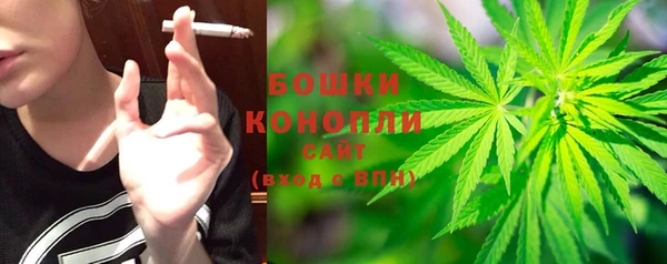 прущие грибы Иннополис