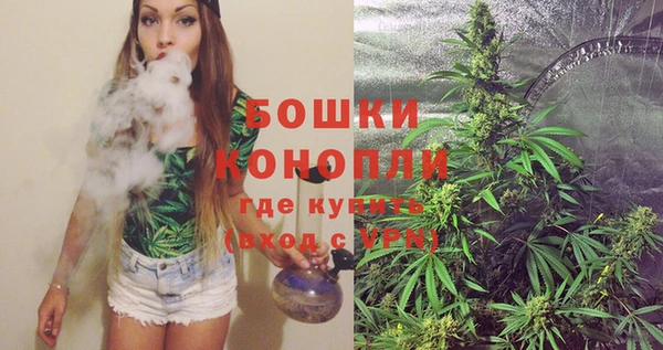 прущие грибы Иннополис