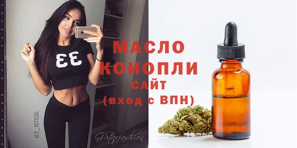 mix Инта