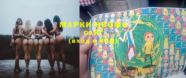 mix Инта