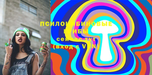 прущие грибы Иннополис
