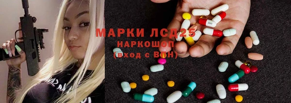 mix Инта