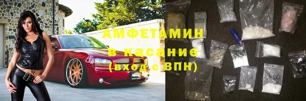 прущие грибы Иннополис