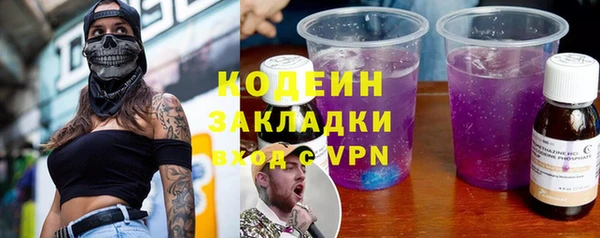прущие грибы Иннополис