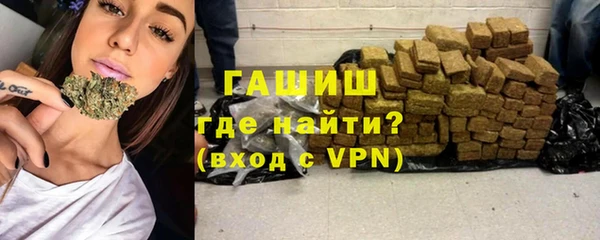 прущие грибы Иннополис