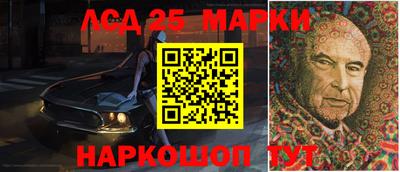 шишки Кандалакша