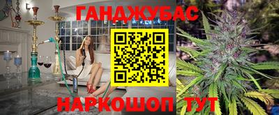 шишки Кандалакша