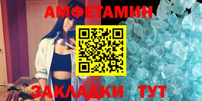 шишки Кандалакша