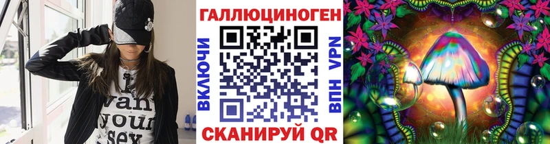 Галлюциногенные грибы Psilocybine cubensis  Сертолово 