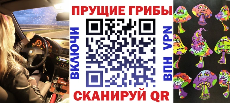 Псилоцибиновые грибы Psilocybe Сертолово